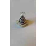 LAMPADINA 12V 24W PG20-1 - PSX24W - 2504 - 12276 C1 - 