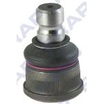 NETTO SNODO S. ANT. INF. MASTER 98> - 40160000AC