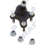 NETTO SNODO S. ANT. DX GOLF 04> - 1K0407366C