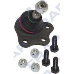 NETTO SNODO S. ANT. DOBLO 00> - 46842581