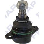 SNODO S. ANT BMW X5  E53 00> - 31126756491